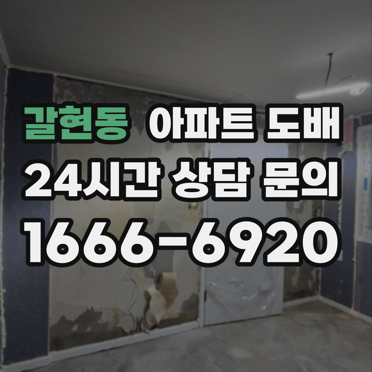 갈현동 아파트 도배