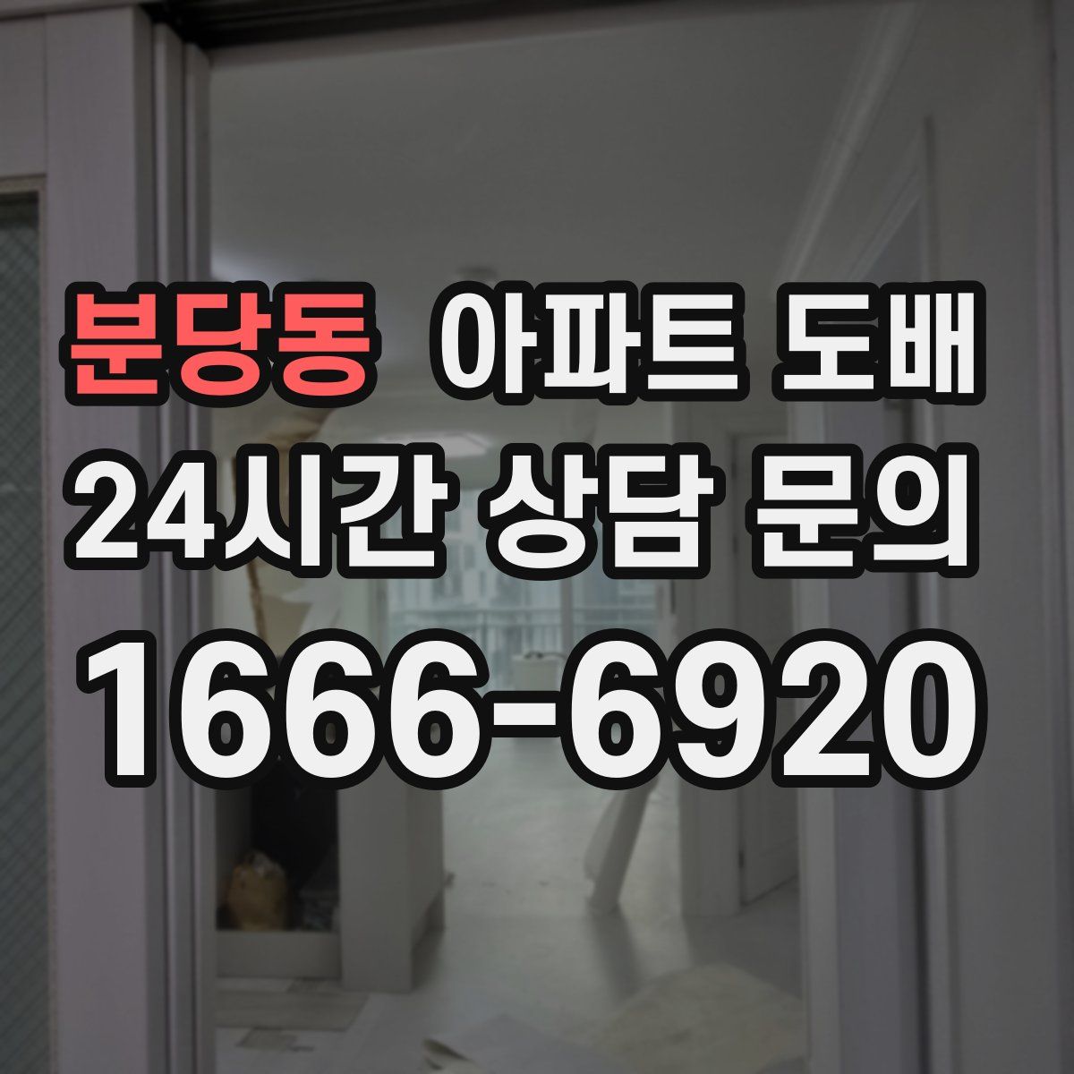 분당동 아파트 도배