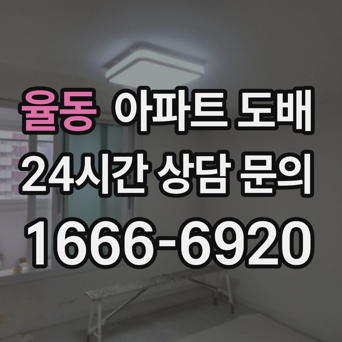 율동 아파트 도배