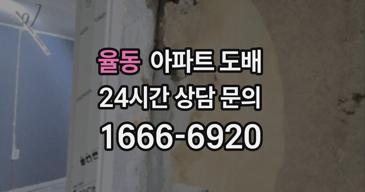 율동 아파트 도배
