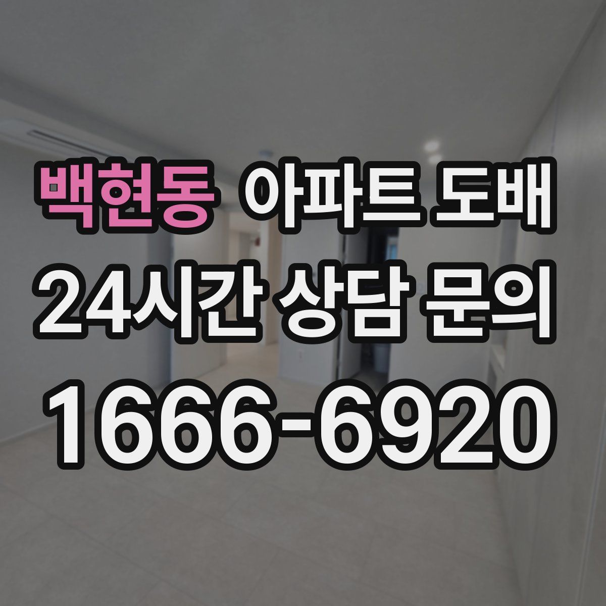 백현동 아파트 도배