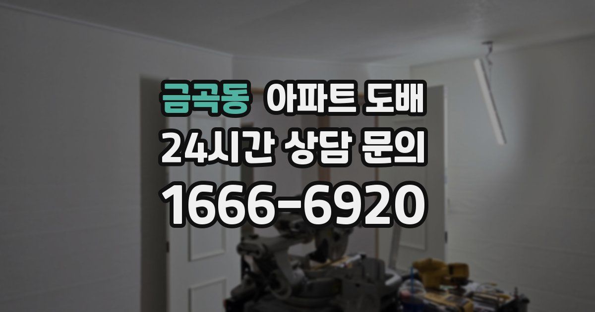 금곡동 아파트 도배