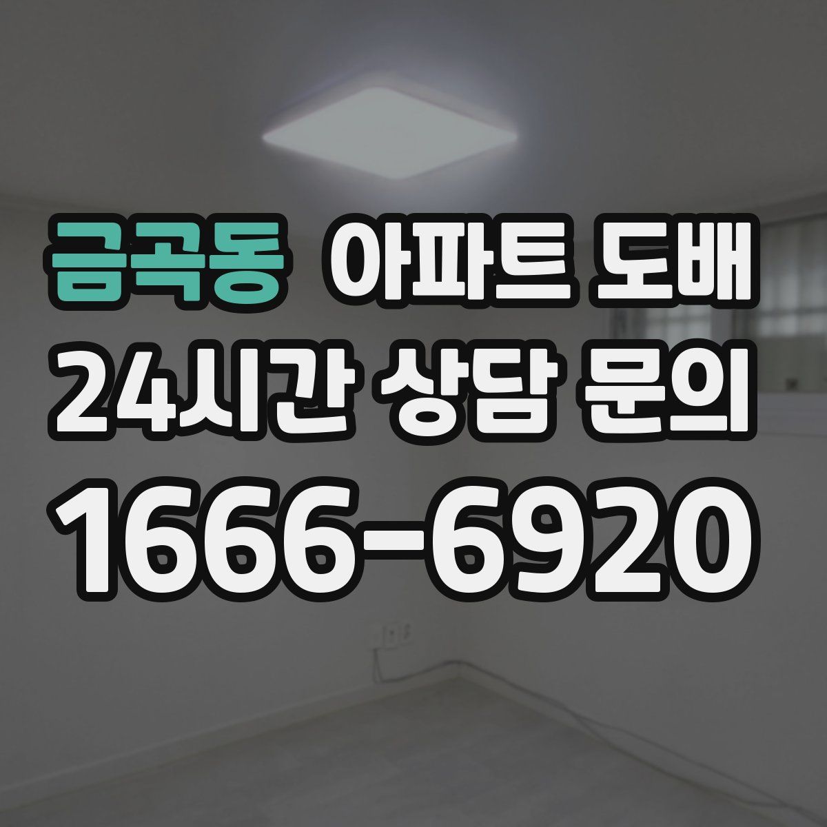 금곡동 아파트 도배