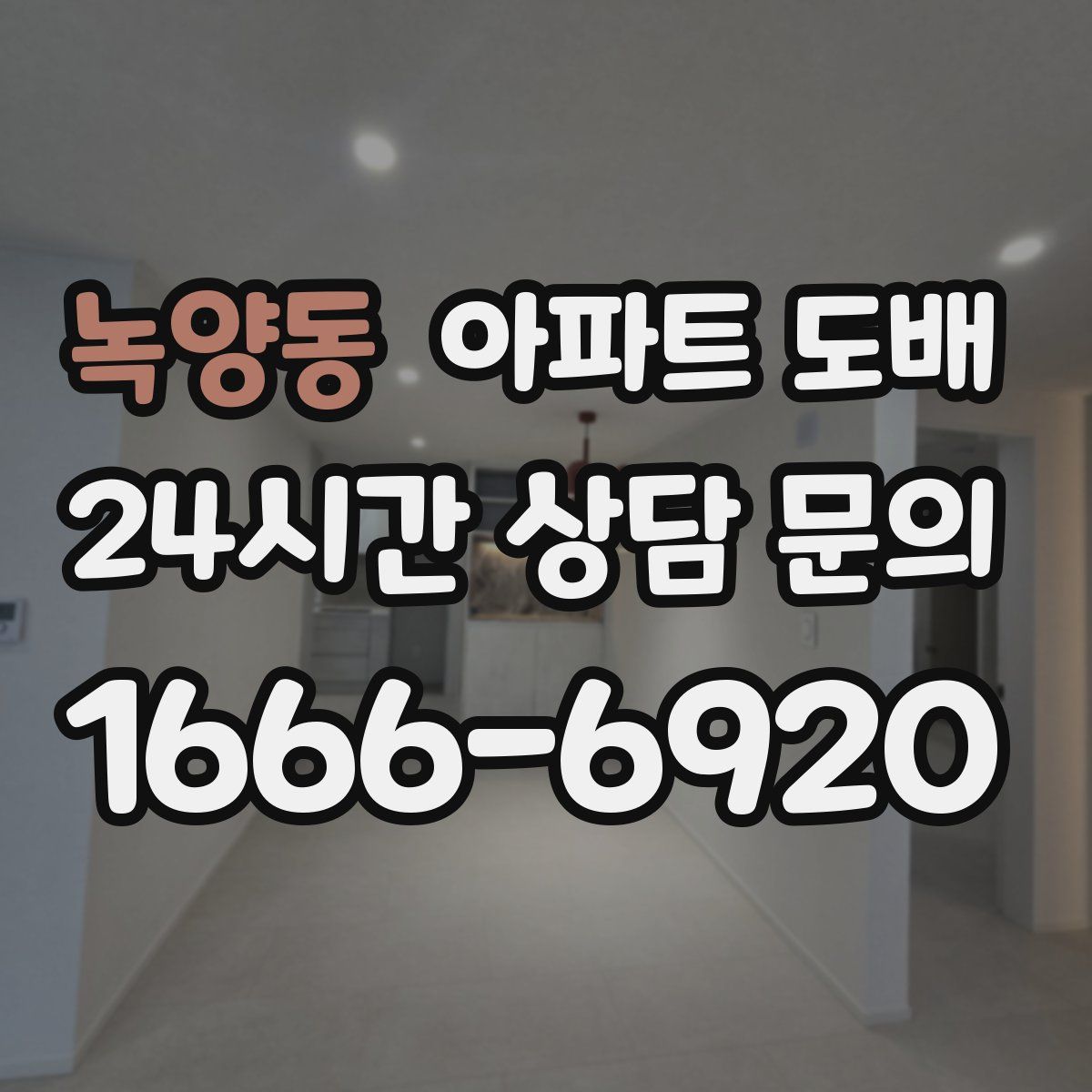 녹양동 아파트 도배