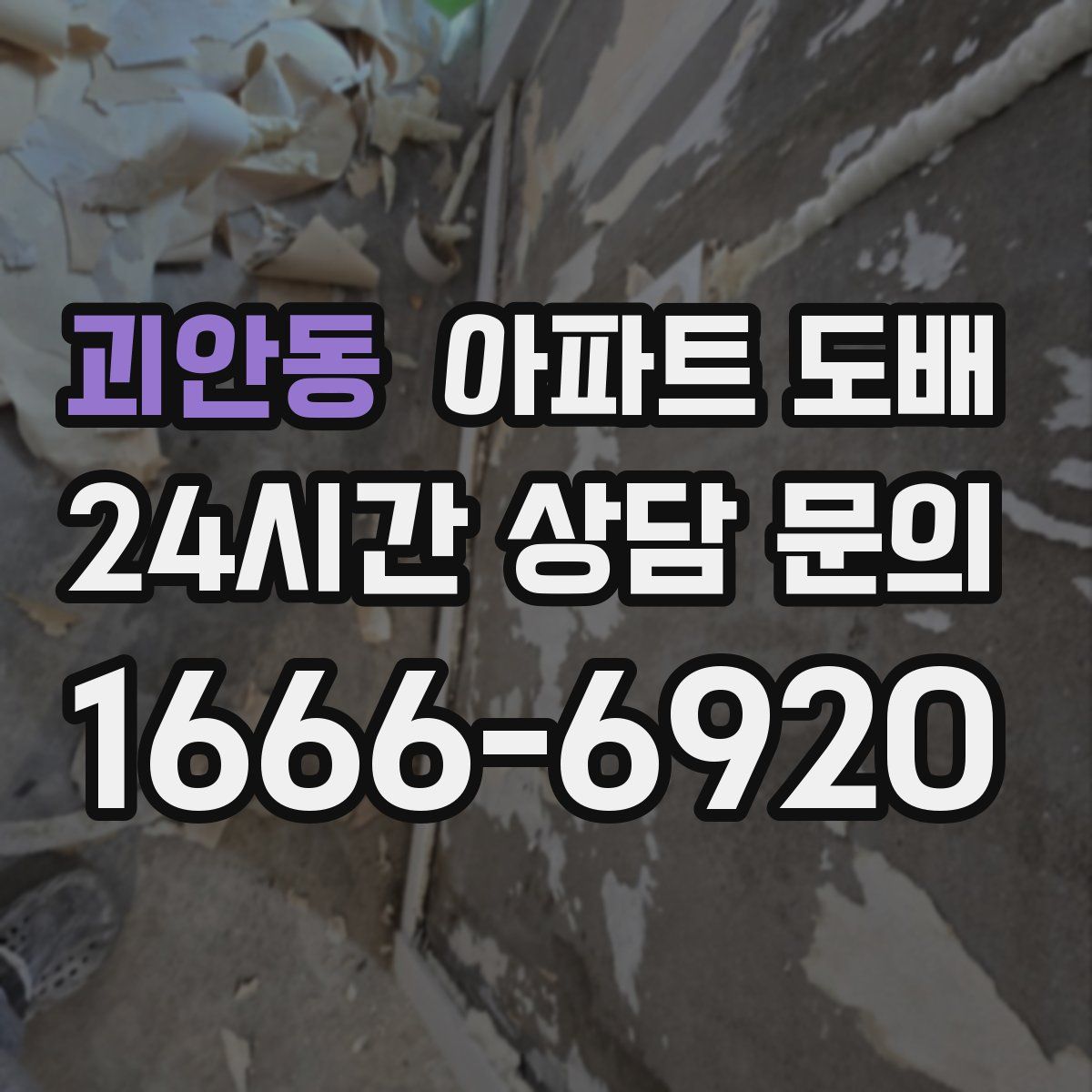 괴안동 아파트 도배