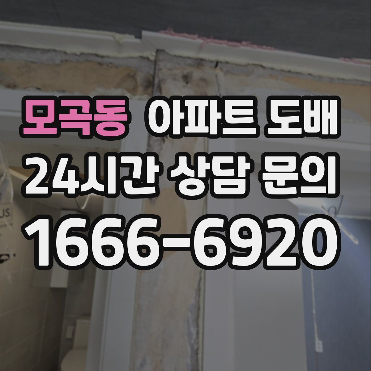 모곡동 아파트 도배