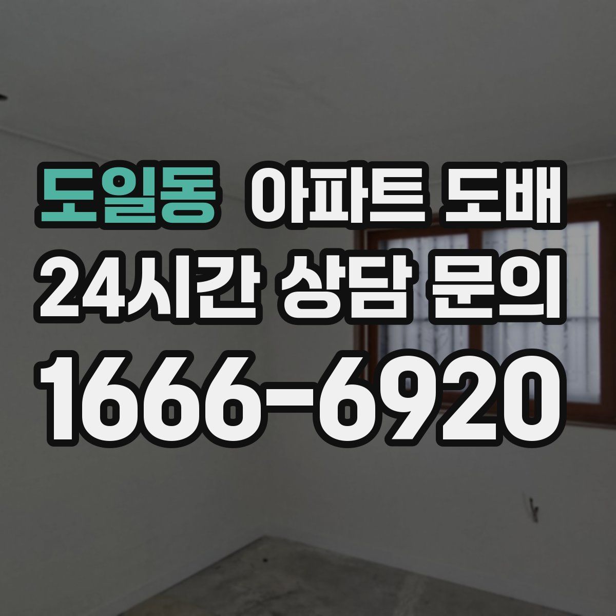도일동 아파트 도배
