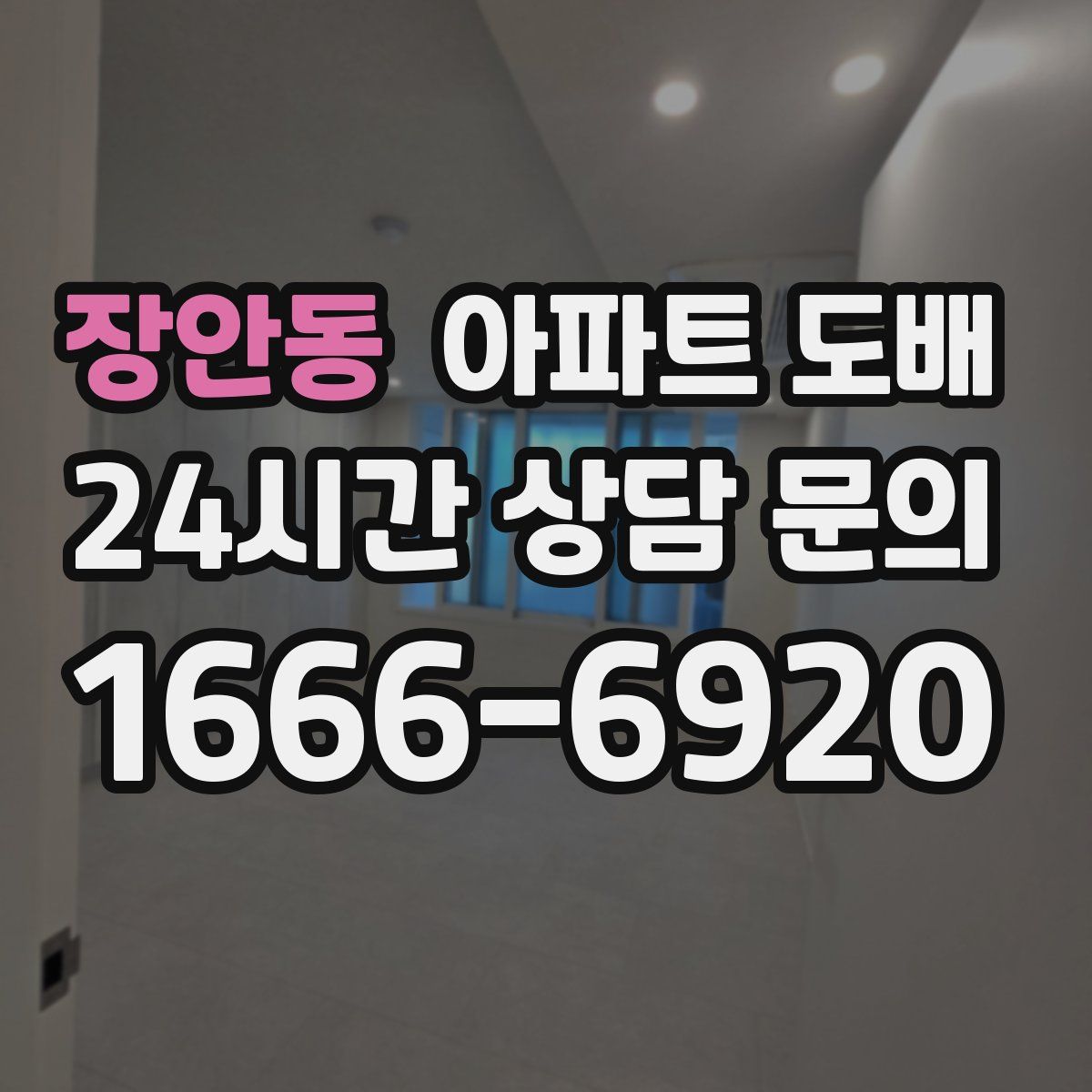 장안동 아파트 도배