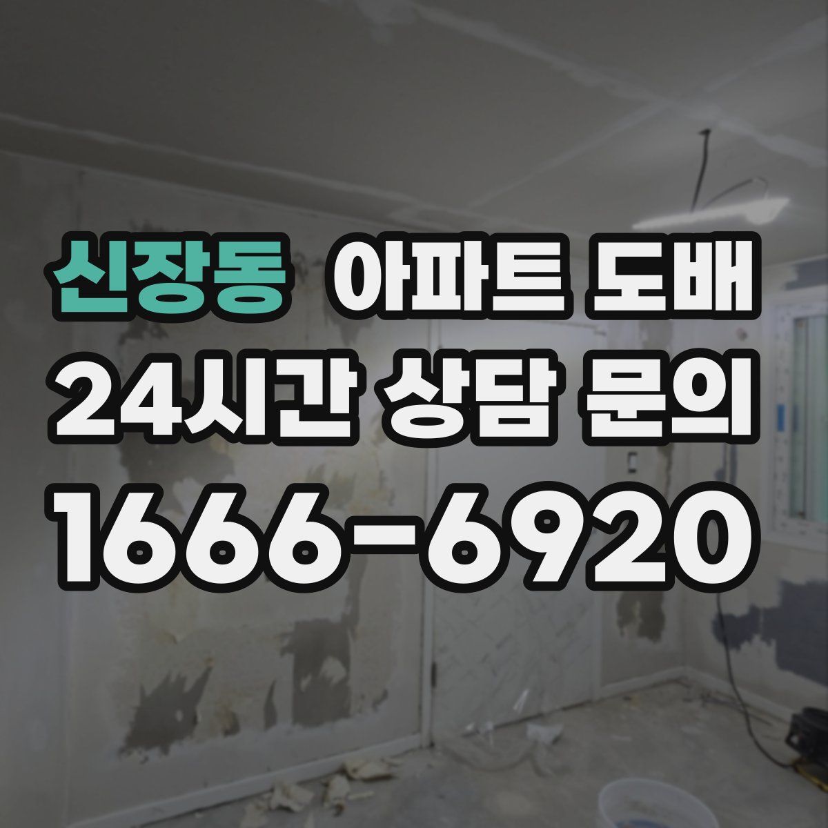 신장동 아파트 도배