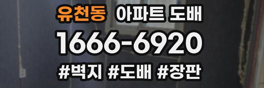 유천동 아파트 도배