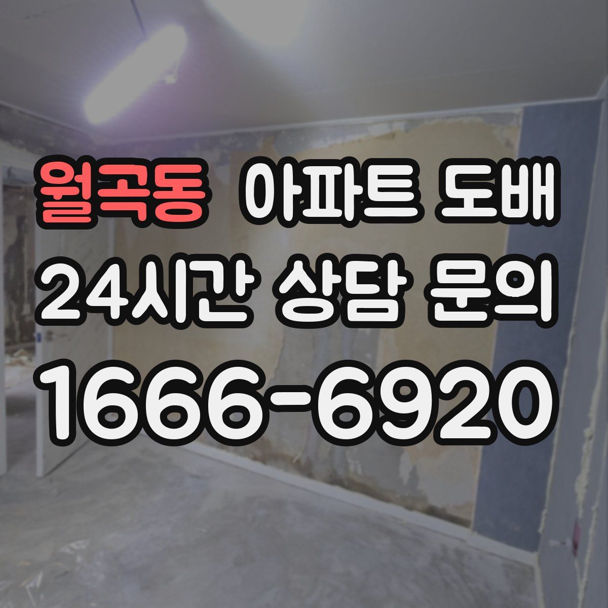 월곡동 아파트 도배