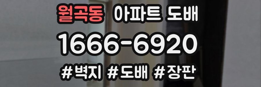 월곡동 아파트 도배
