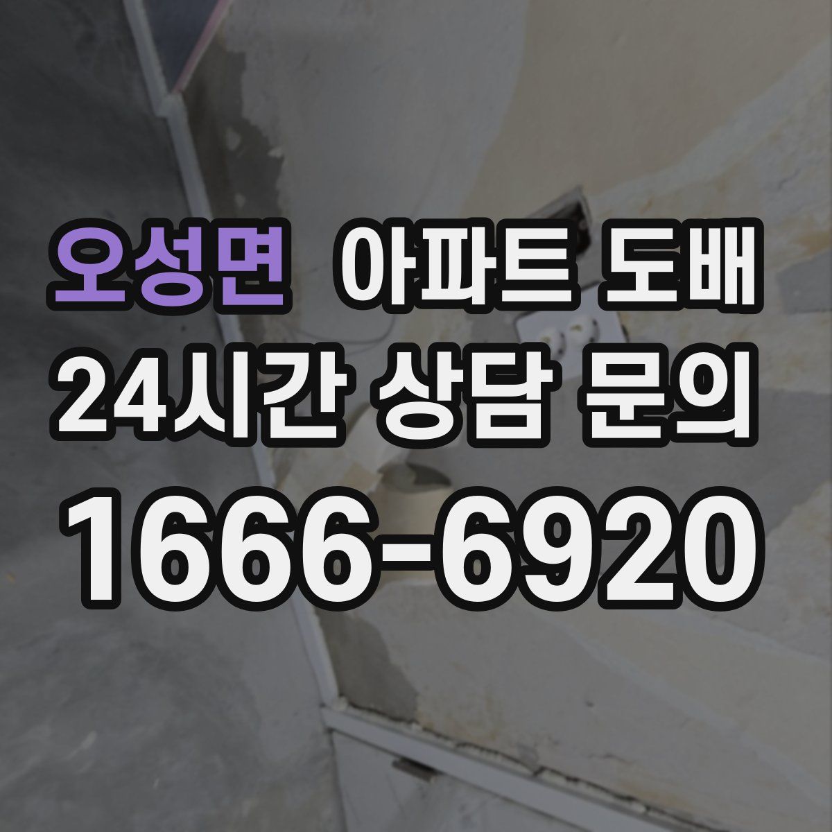 오성면 아파트 도배