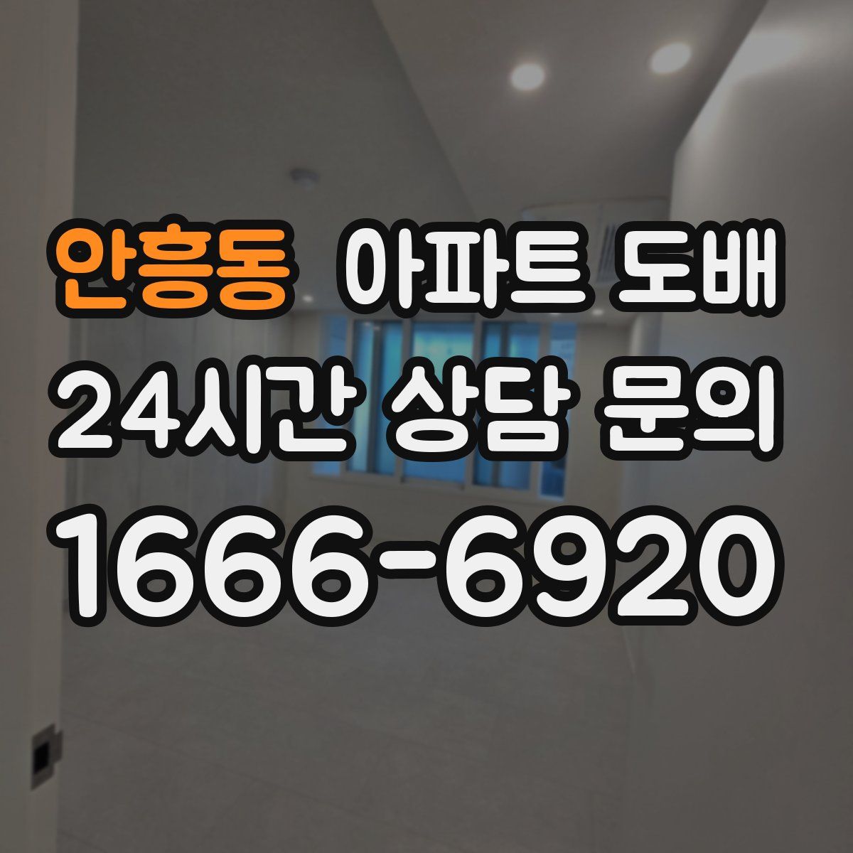 안흥동 아파트 도배