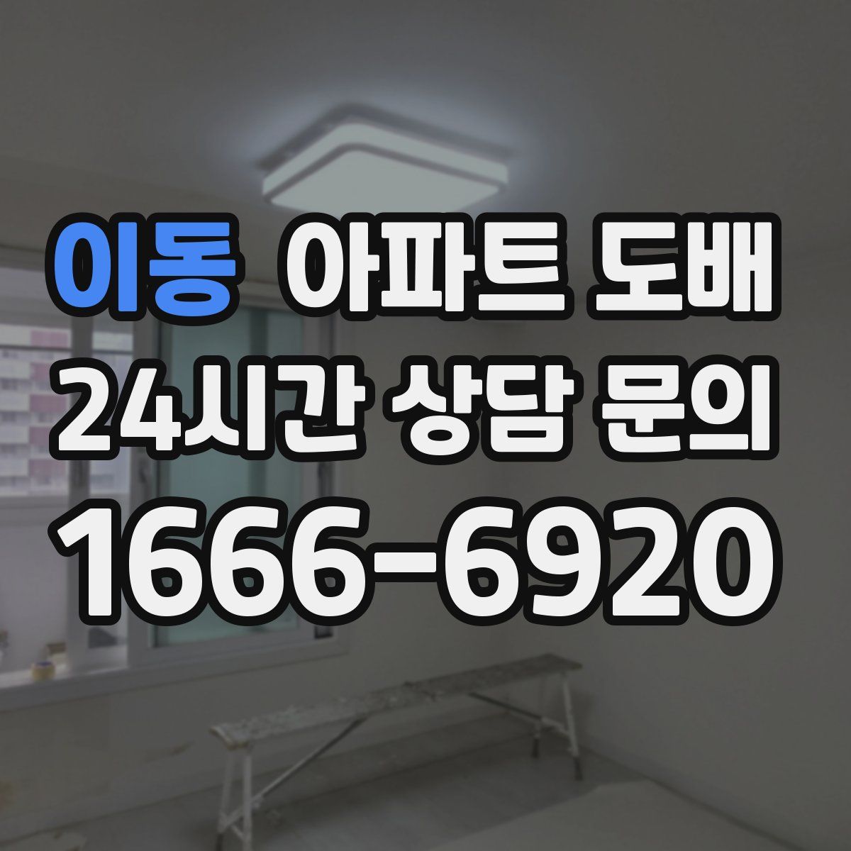 이동 아파트 도배