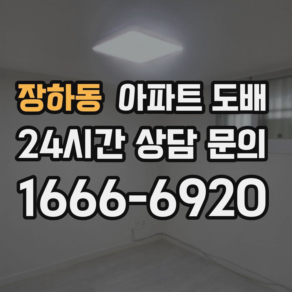 장하동 아파트 도배