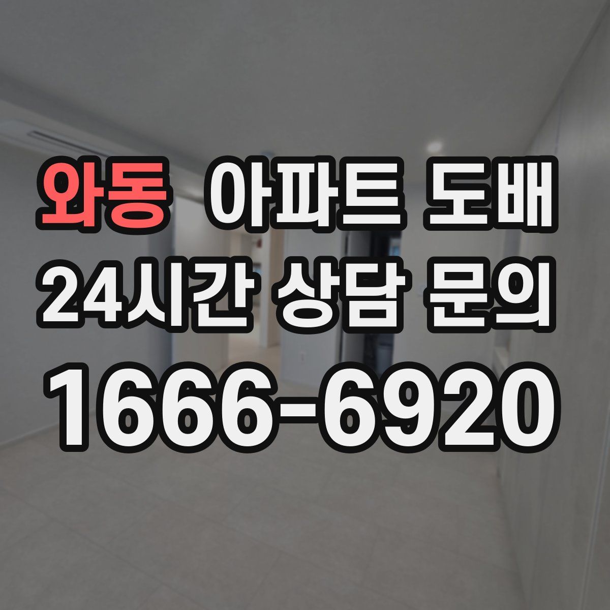 와동 아파트 도배