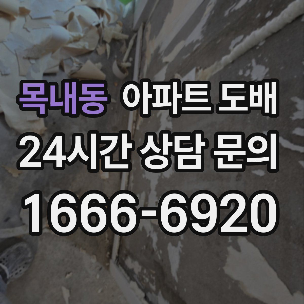 목내동 아파트 도배