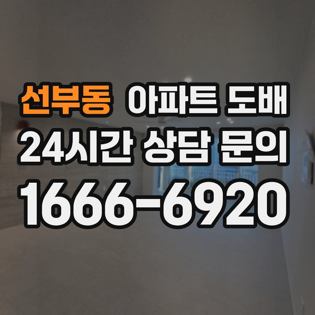 선부동 아파트 도배
