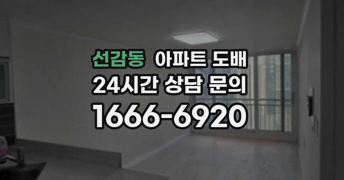 선감동 아파트 도배