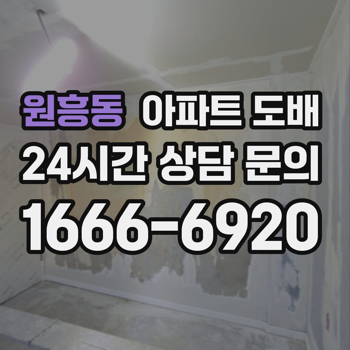 원흥동 아파트 도배