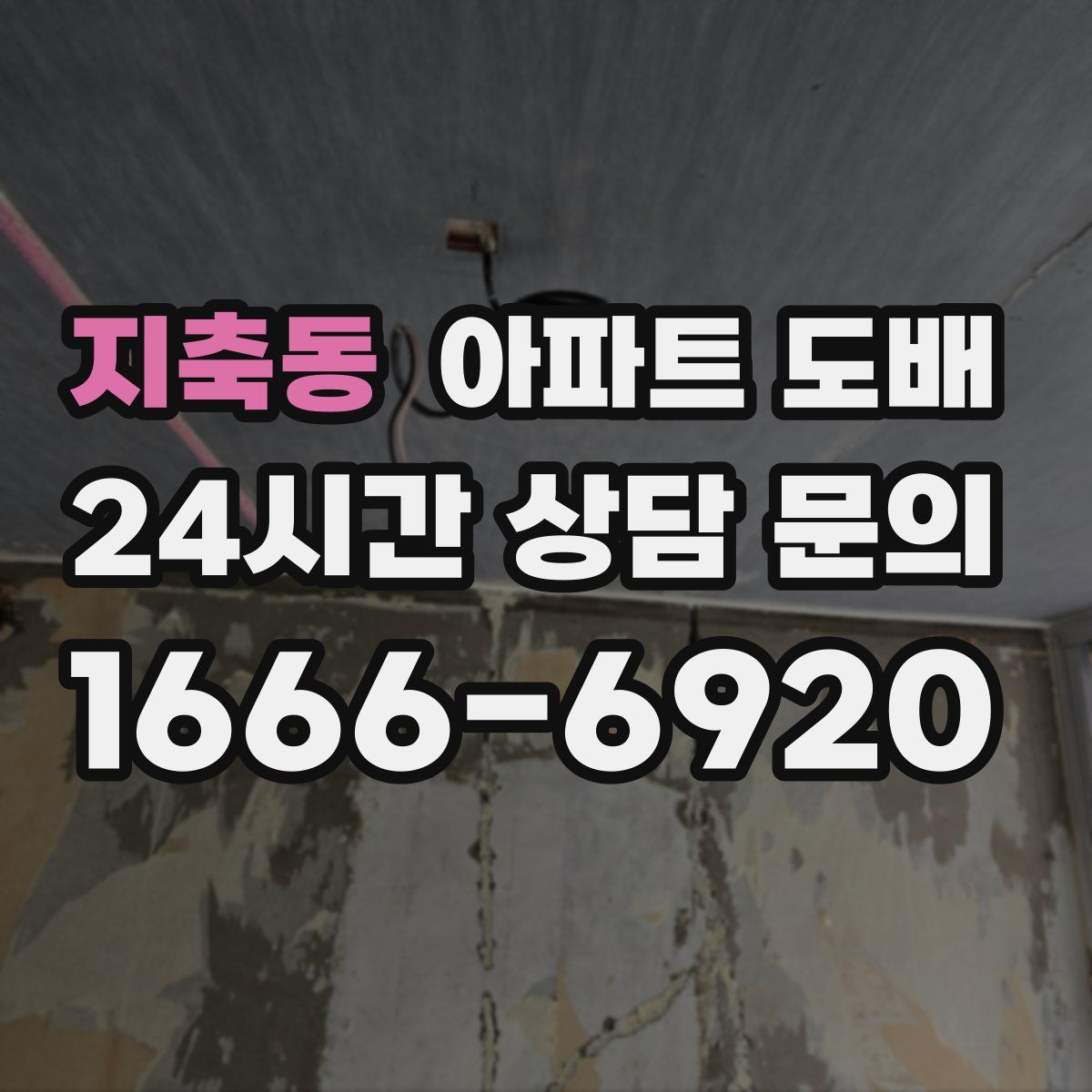 지축동 아파트 도배