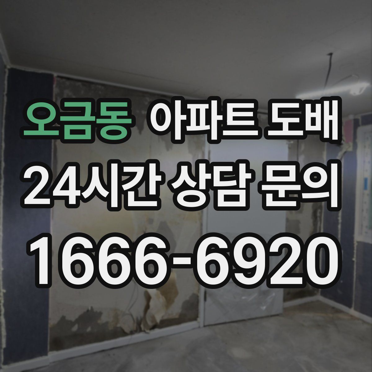 오금동 아파트 도배