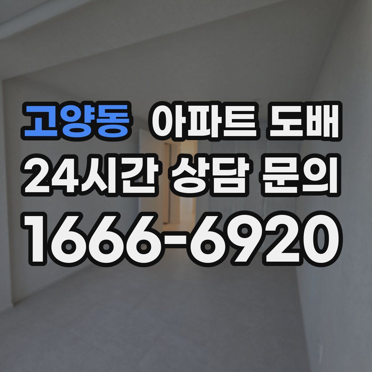 고양동 아파트 도배