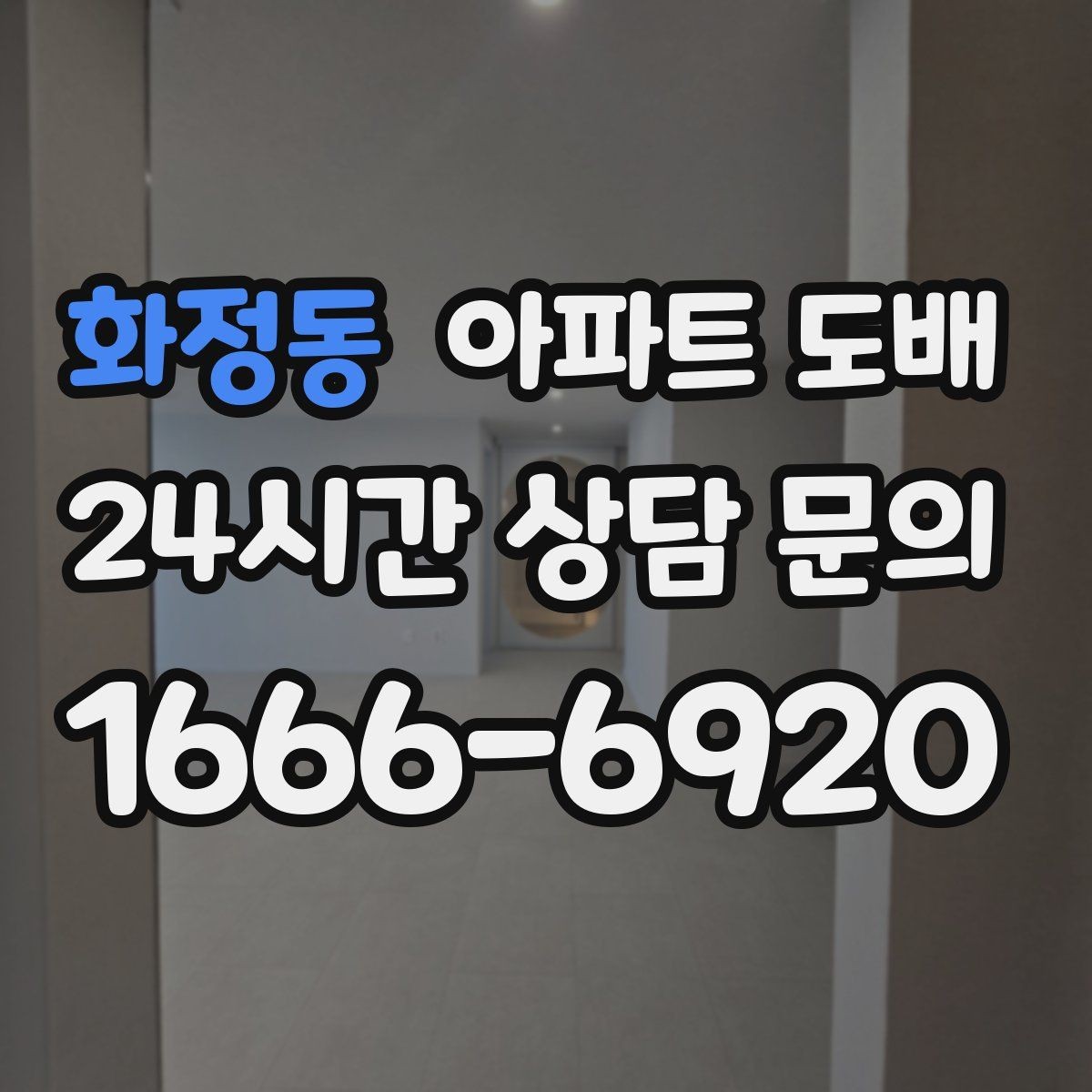 화정동 아파트 도배 곰팡이 걱정 줄이는 시공 방법