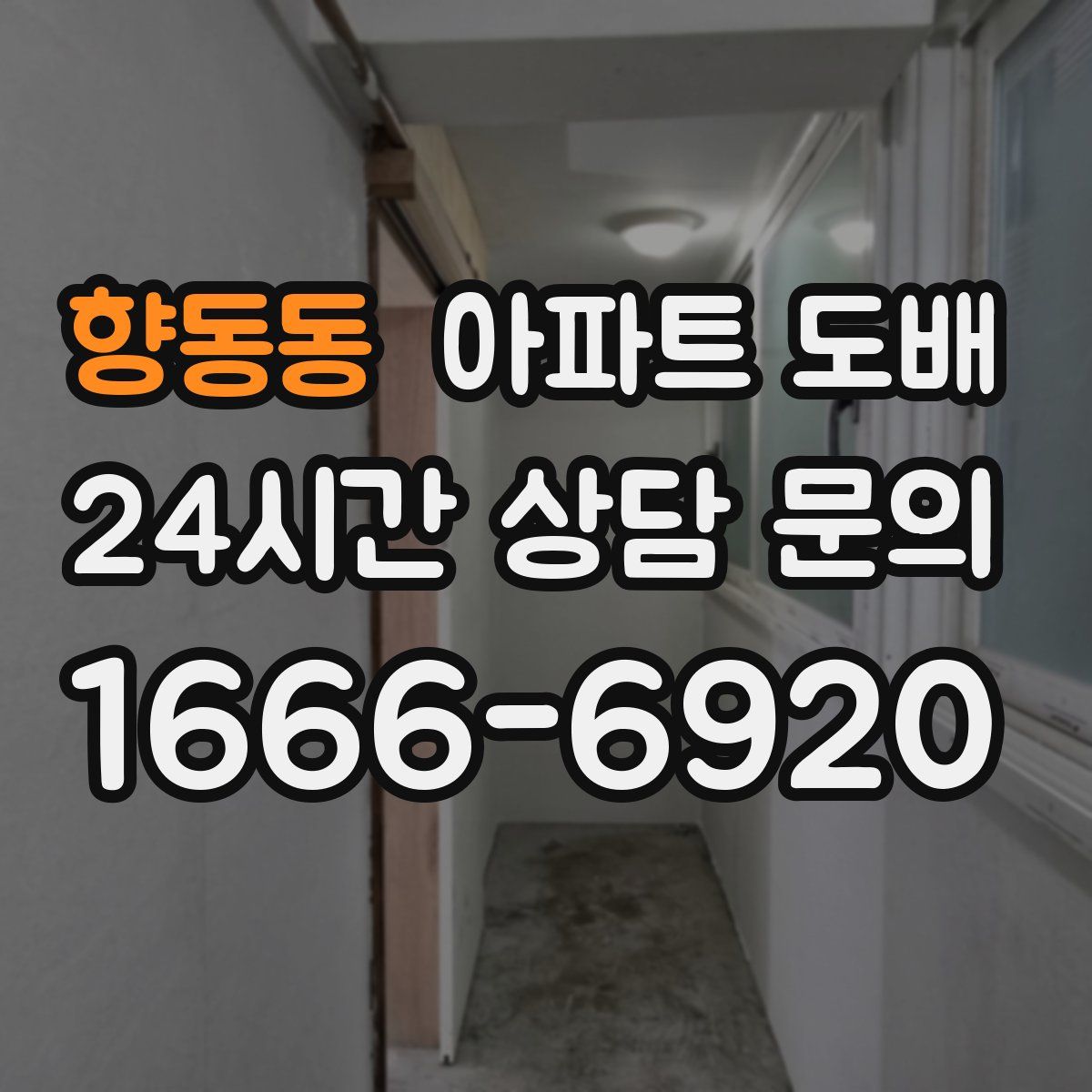 향동동 아파트 도배
