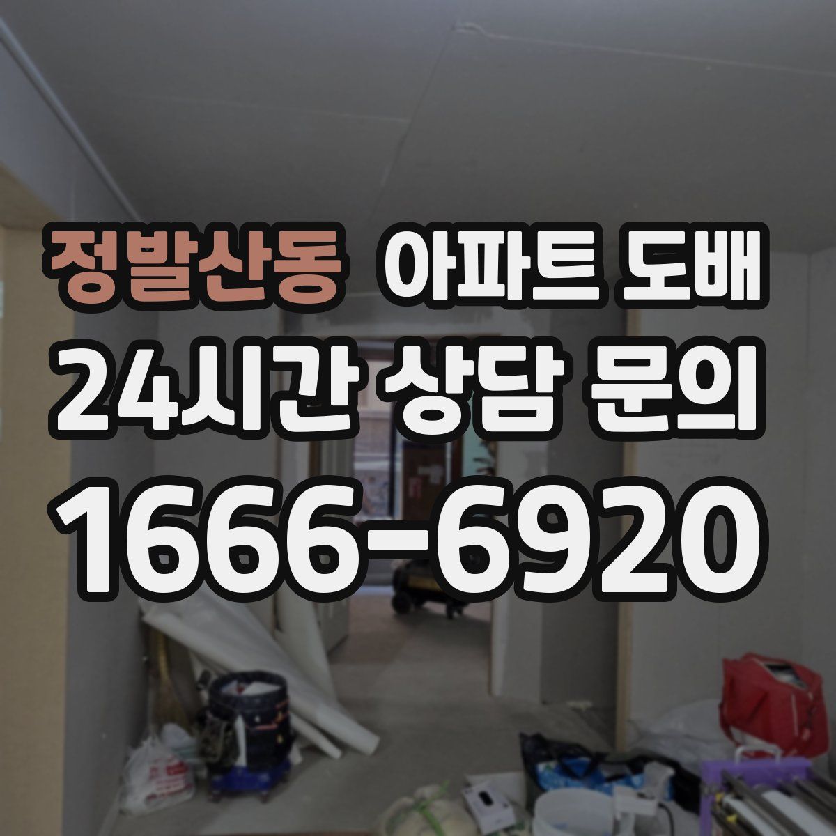 정발산동 아파트 도배