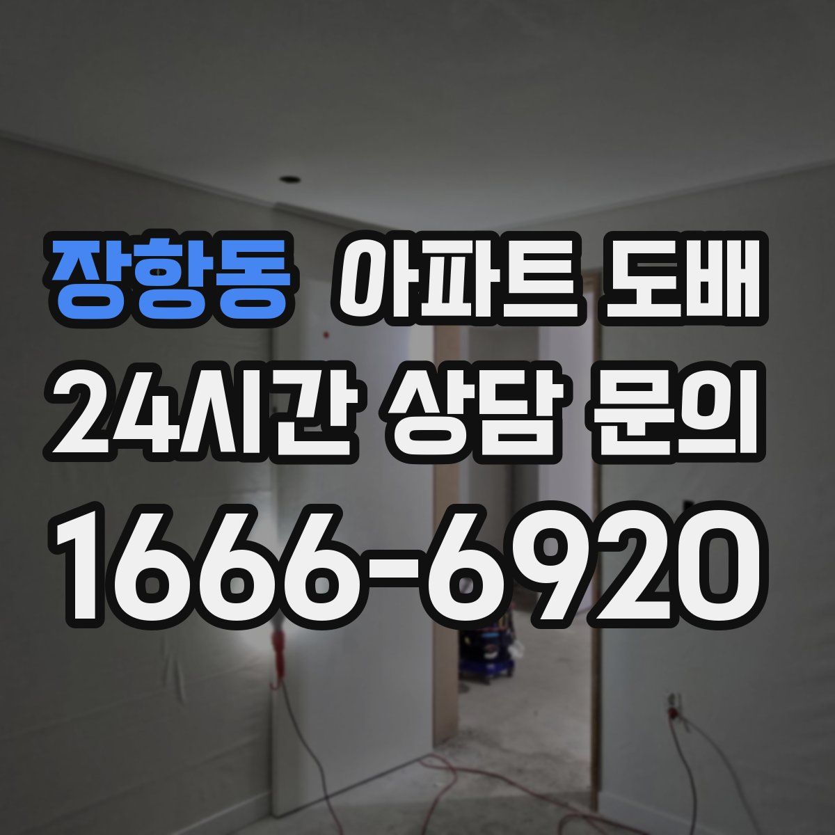 장항동 아파트 도배