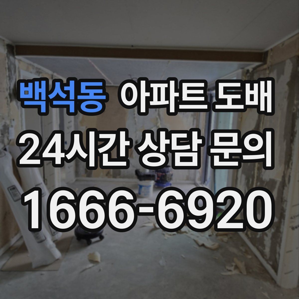 백석동 아파트 도배 넓은 공간에서 조화롭게 구성하는 법