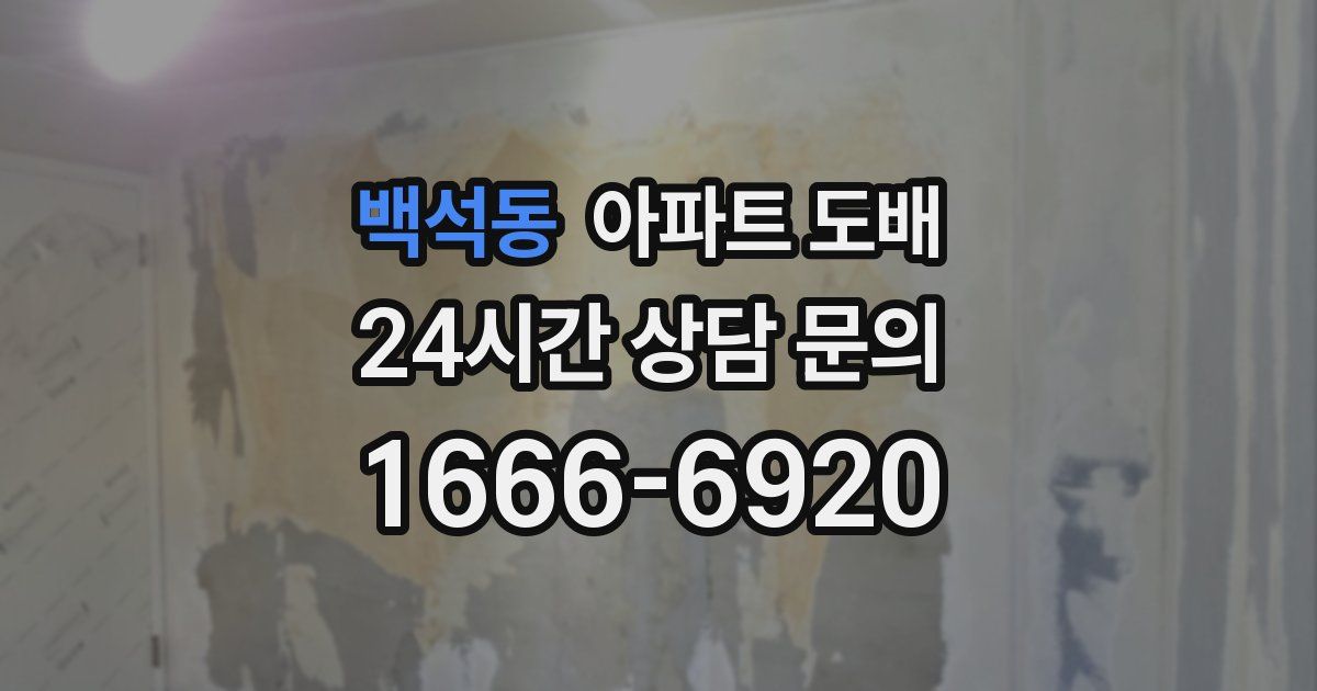백석동 아파트 도배