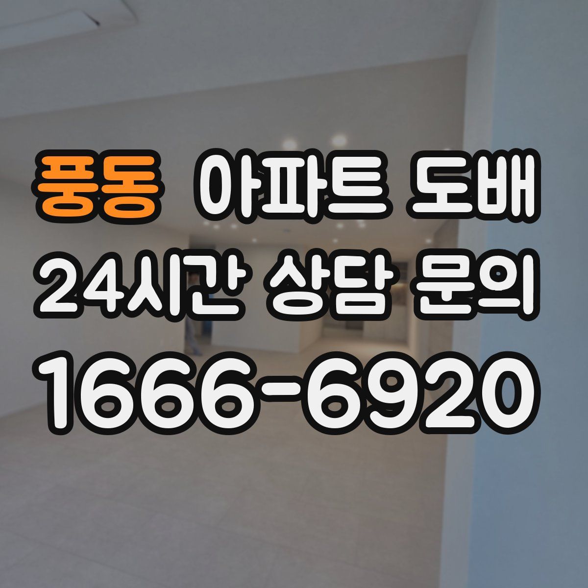 풍동 아파트 도배