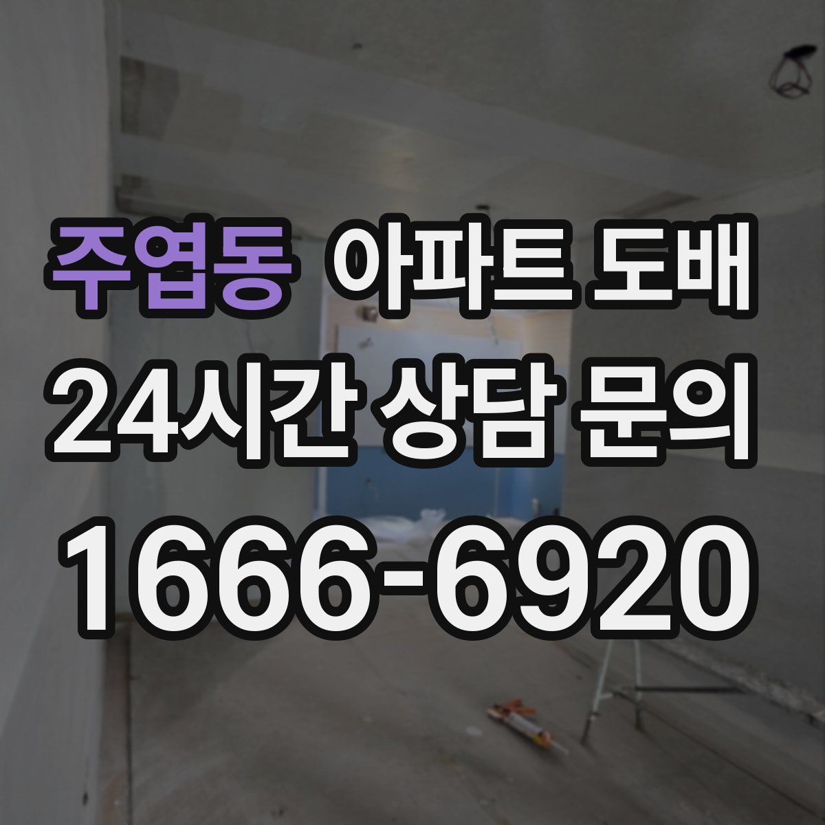주엽동 아파트 도배
