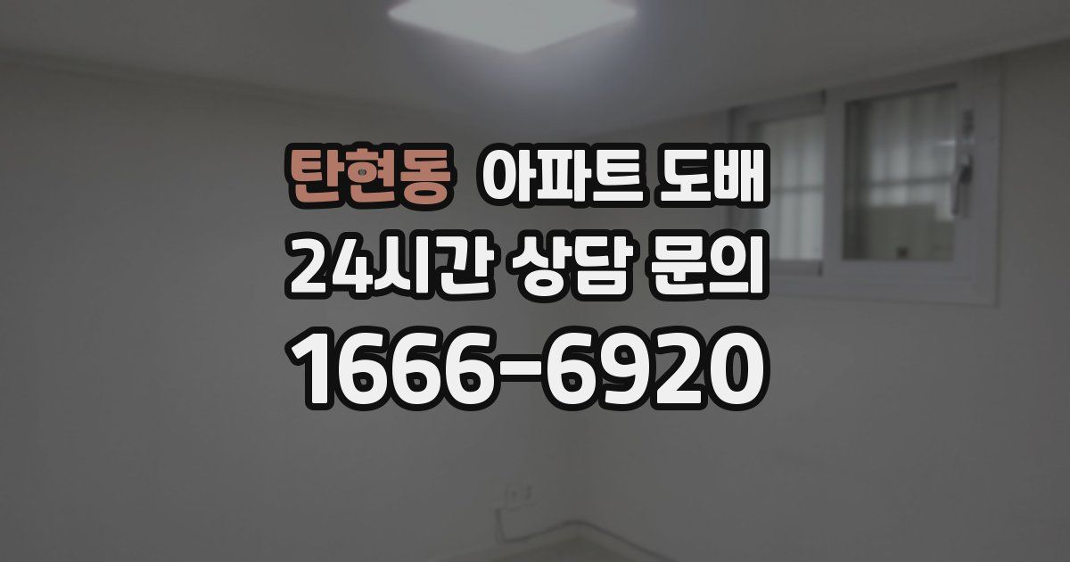 탄현동 아파트 도배