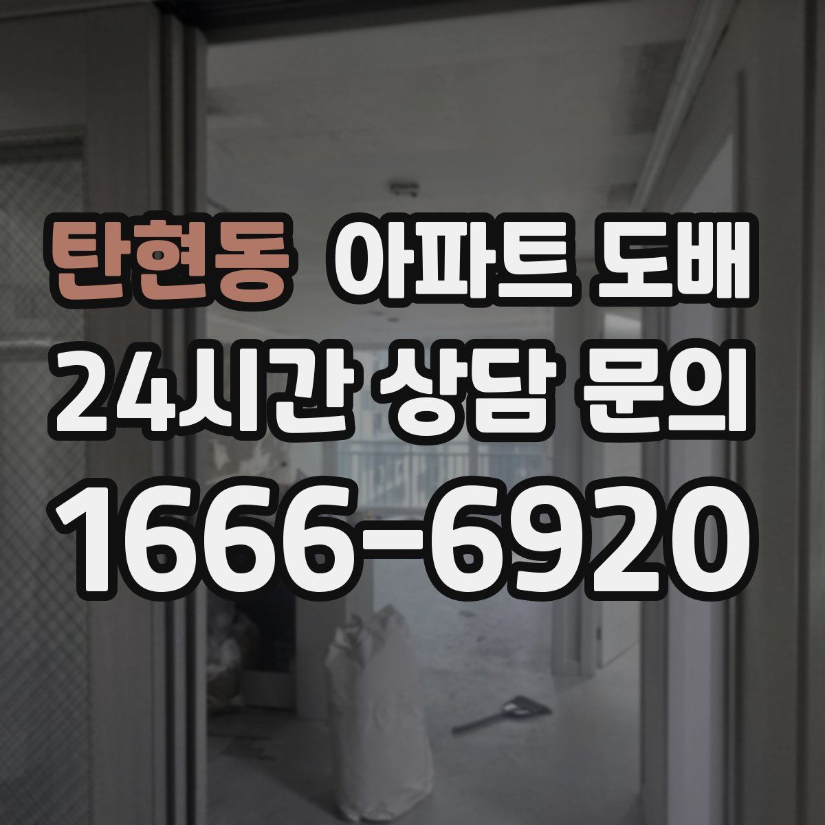 탄현동 아파트 도배