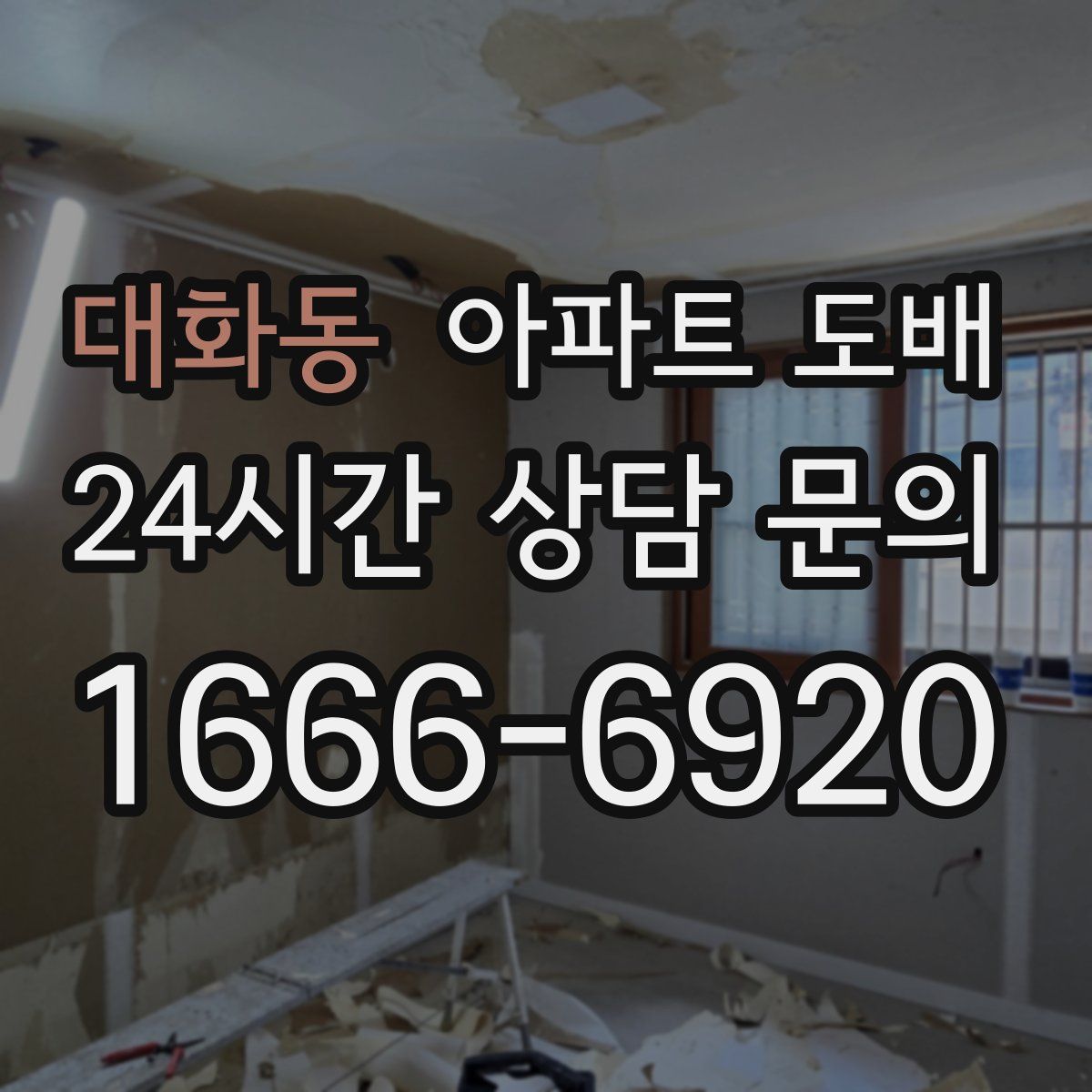 대화동 아파트 도배
