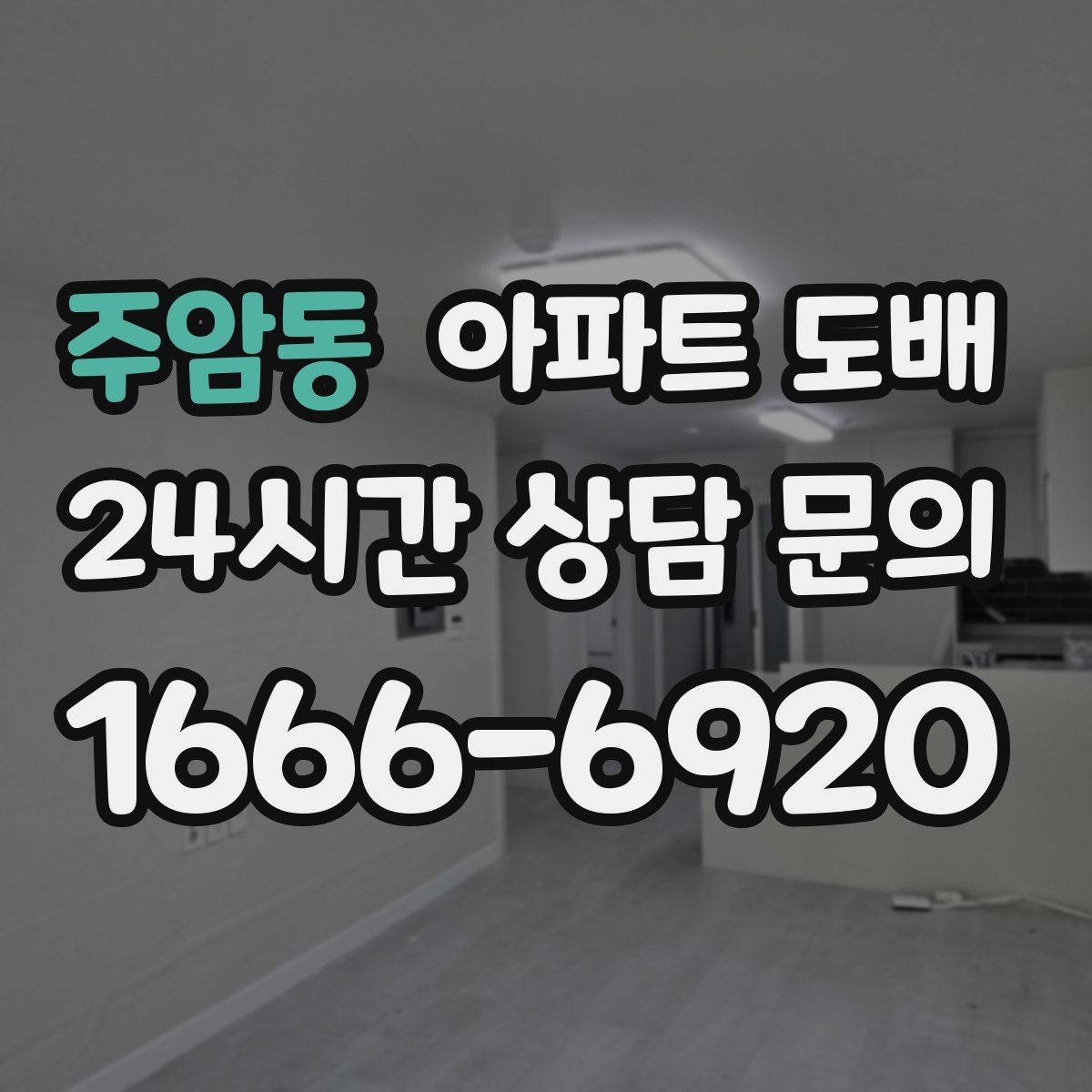 주암동 아파트 도배