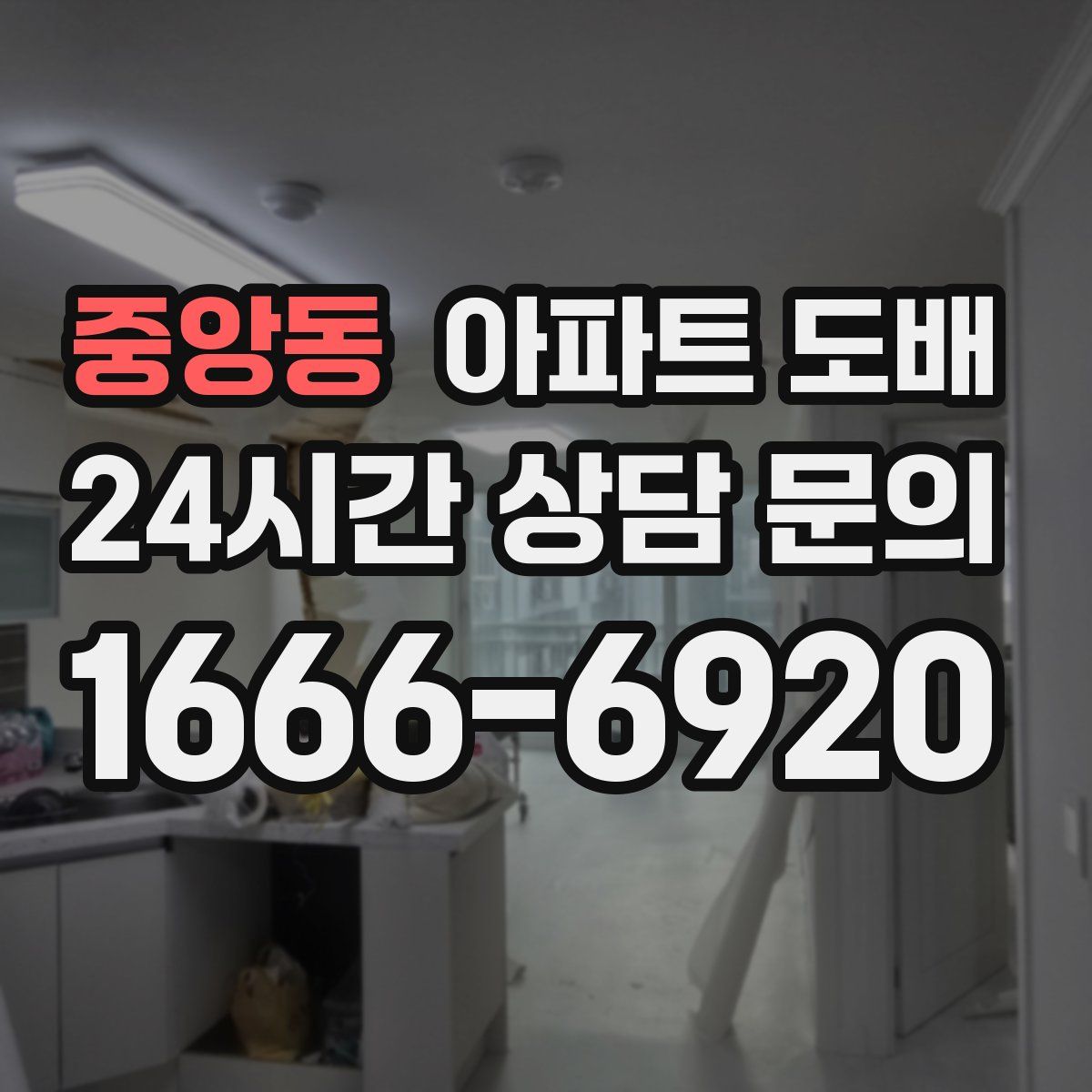 중앙동 아파트 도배