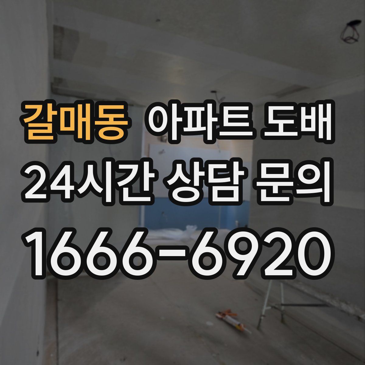 갈매동 아파트 도배