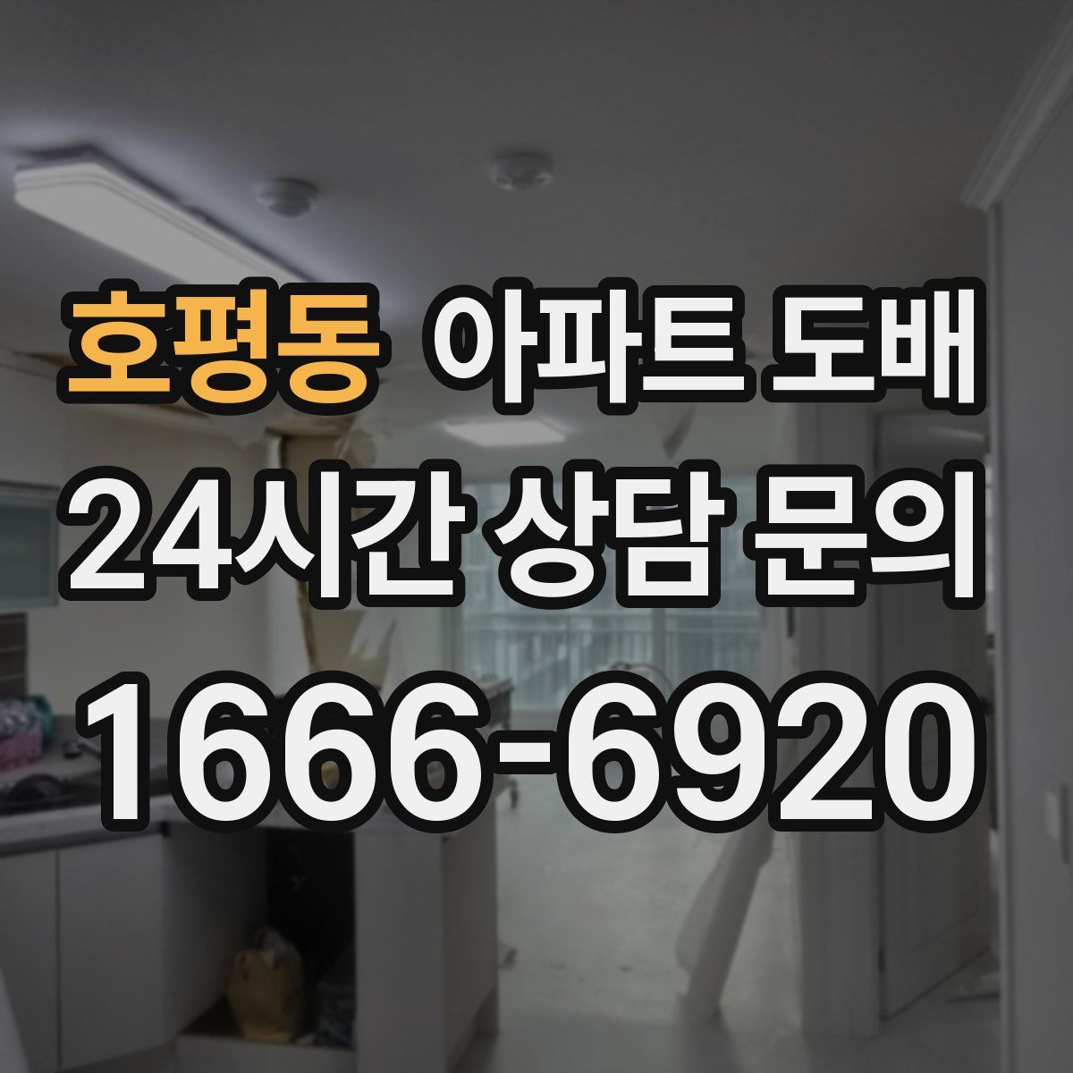 호평동 아파트 도배
