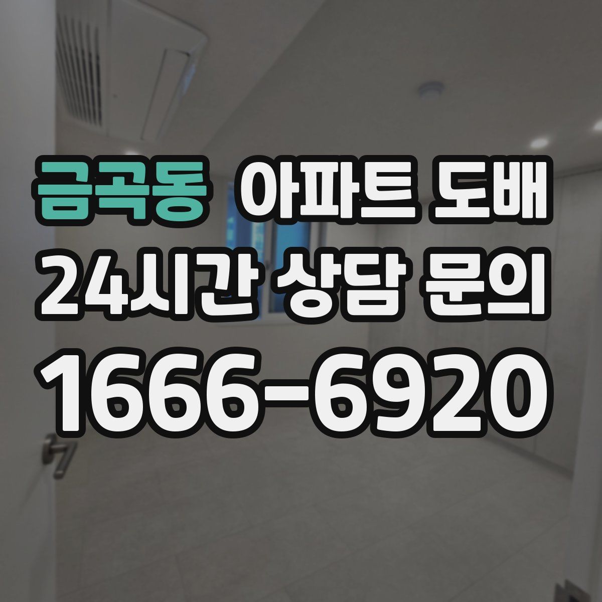 금곡동 아파트 도배