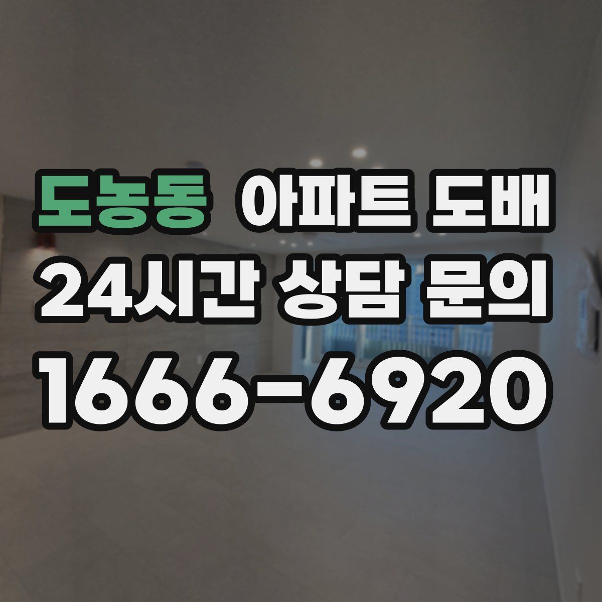 도농동 아파트 도배