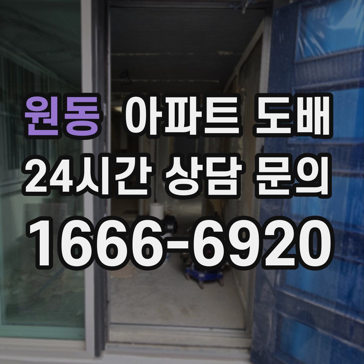원동 아파트 도배