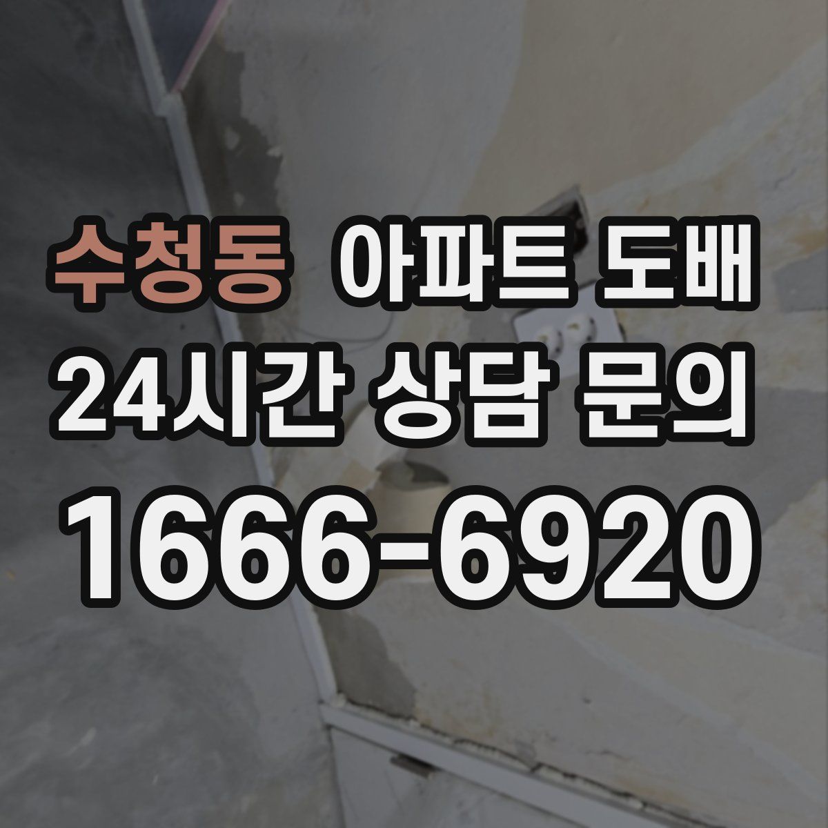 수청동 아파트 도배