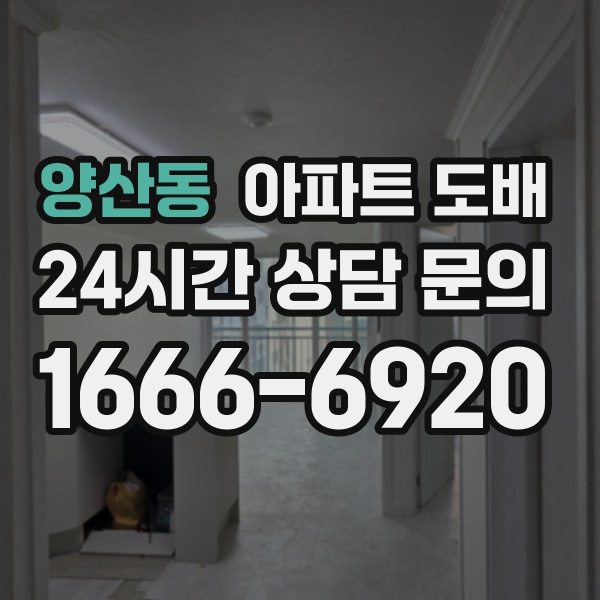 양산동 아파트 도배