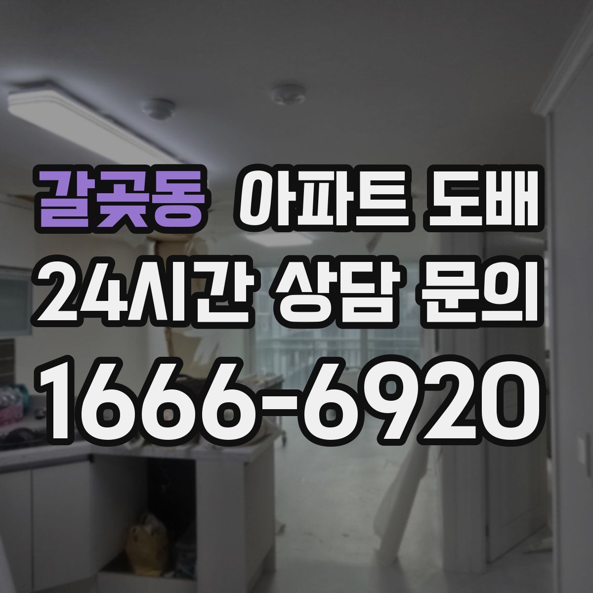 갈곶동 아파트 도배