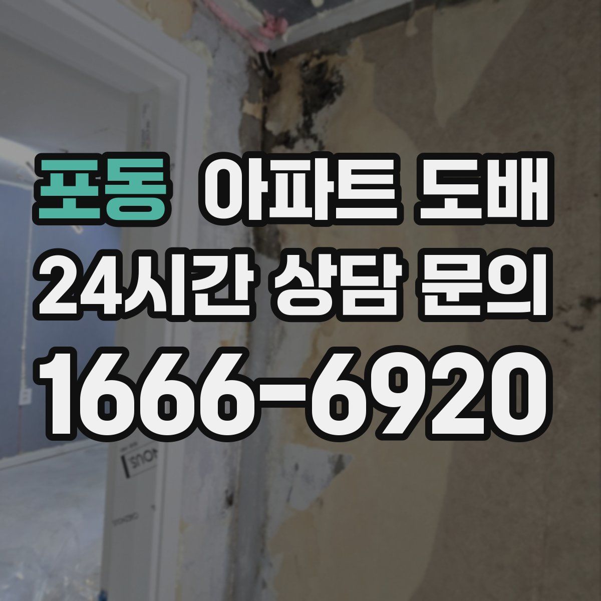 포동 아파트 도배